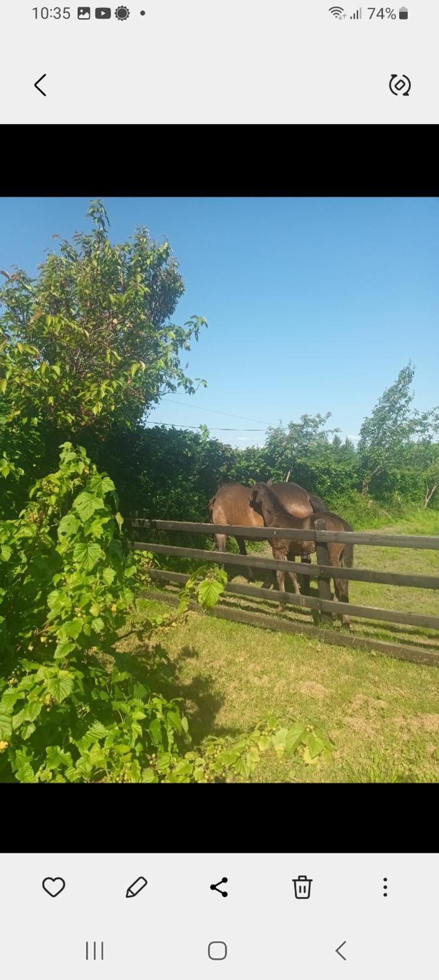 Charming Country Homestead كيلكيني المظهر الخارجي الصورة